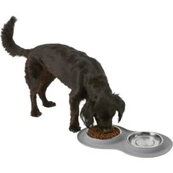 Frisco Double Stainless Steel Pet Bowl With Silicone Mat 13 Frisco Double Stainless Steel Pet Bowl With Silicone Mat -Frisco 215986 PT5. AC SS1800 V1605652436