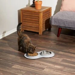 Frisco Double Stainless Steel Pet Bowl With Silicone Mat 14 Frisco Double Stainless Steel Pet Bowl With Silicone Mat -Frisco 215986 PT6. AC SS1800 V1605657710