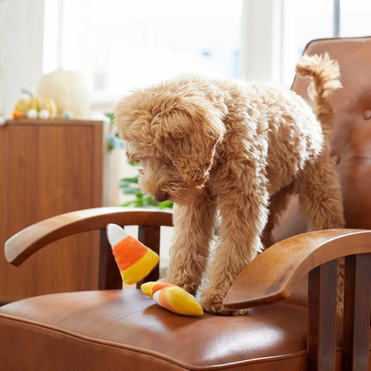 Frisco Halloween Candy Corn Plush Squeaky Dog Toy 3 Frisco Halloween Candy Corn Plush Squeaky Dog Toy - Image 3