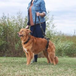 Frisco Rear Lift Handicapped Support Dog Harness -Frisco 220374 PT7. AC SS1800 V1605754619