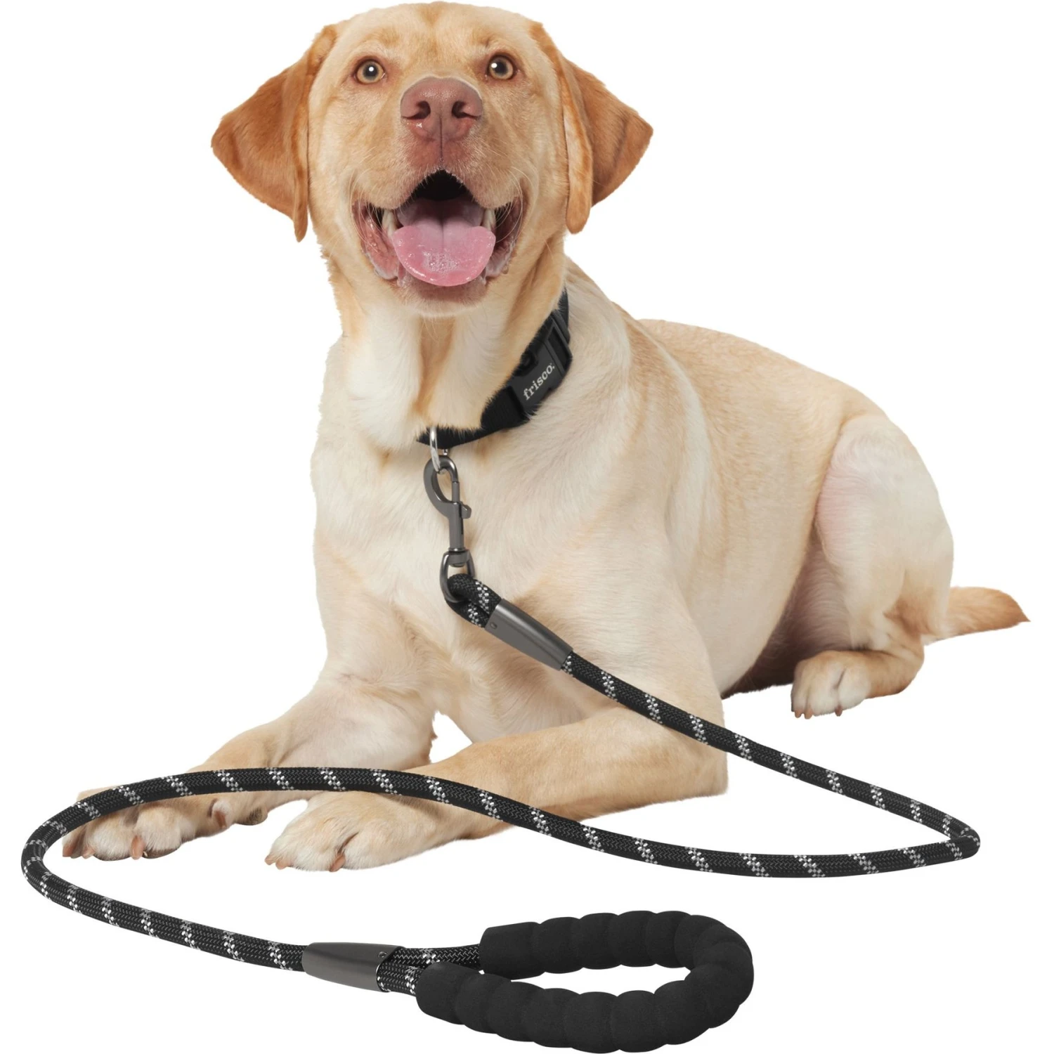 Frisco Rope Dog Leash With Padded Handle 4 Frisco Rope Dog Leash With Padded Handle - Image 4