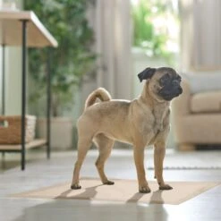 Frisco Large Eco-Conscious Dog Training & Potty Pads -Frisco 227438 PT6. AC SS1800 V1674665619