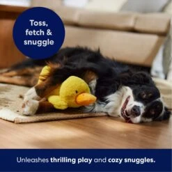 Frisco Duck Plush Squeaky Dog Toy -Frisco 233613 PT4. AC SS1800 V1695670688