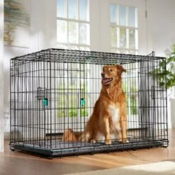Front Page 19 Frisco Heavy Duty Enhanced Lock Double Door Fold & Carry Wire Dog Crate & Mat Kit