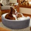 Frisco Bolster Cat & Dog Bed