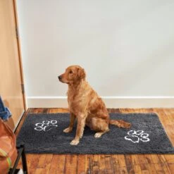 Frisco Microfiber Chenille Paw Print Doormat Runner 9 Frisco Microfiber Chenille Paw Print Doormat Runner -Frisco 235889 PT6. AC SS1800 V1606833151