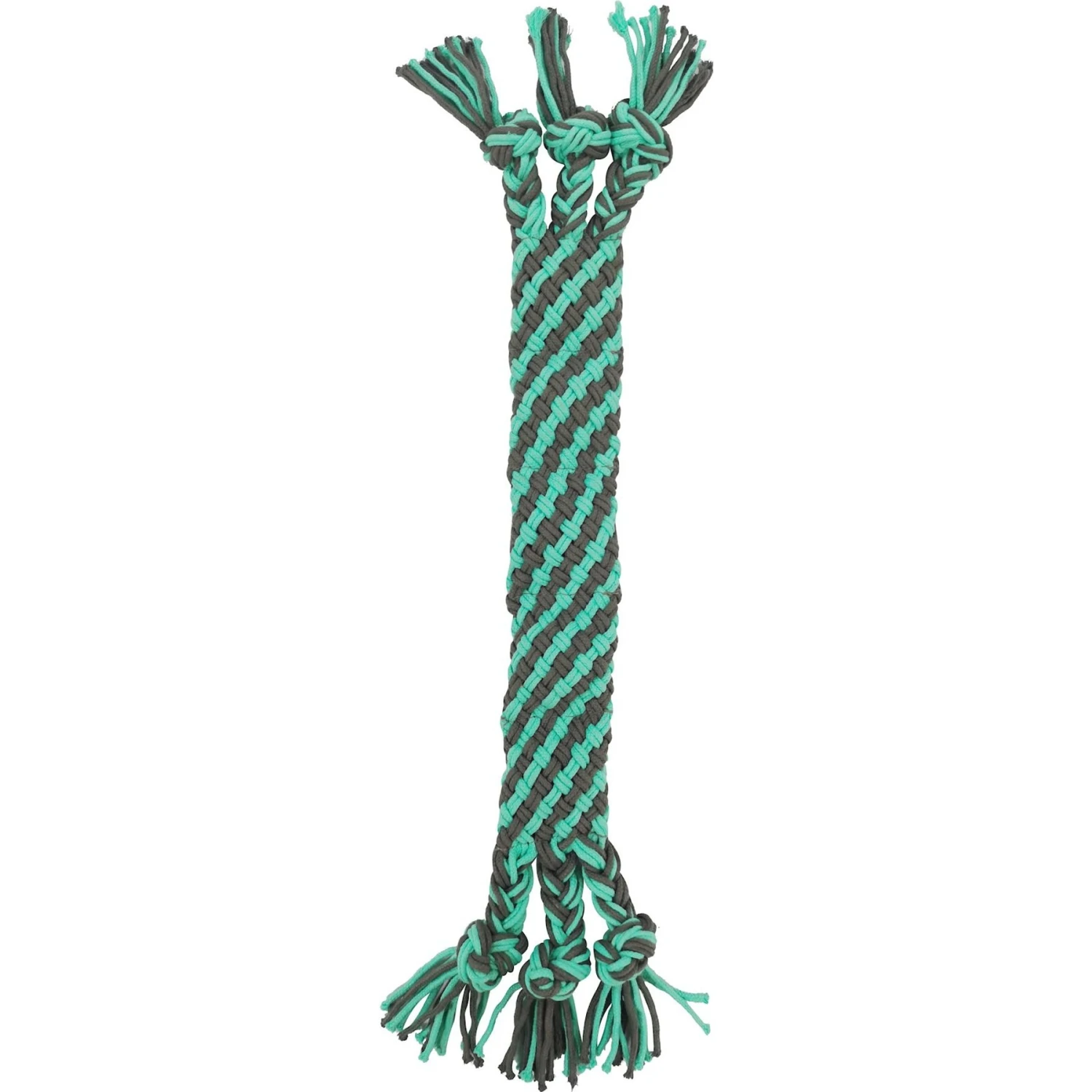 Frisco Flat Teal & Gray Braided Rope Squeaky Fetch Dog Toy 1 Frisco Flat Teal & Gray Braided Rope Squeaky Fetch Dog Toy