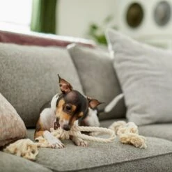 Frisco Double Knot Cotton Rope Fetch Dog Toy -Frisco 242155 PT2. AC SS1800 V1605208728