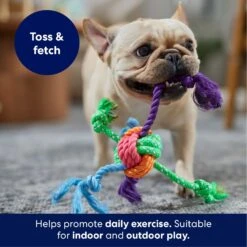 Frisco Fetch Colorful Ball Knot Rope Dog Toy -Frisco 242159 PT3. AC SS1800 V1695242179