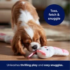 Frisco Bunny Plush Squeaky Puppy Toy -Frisco 245916 PT3. AC SS1800 V1695760959