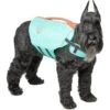 Frisco Active Dog Life Jacket