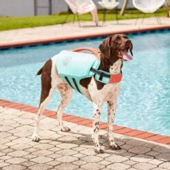 Frisco Active Dog Life Jacket -Frisco 247894 PT7. AC SS1800 V1616506092