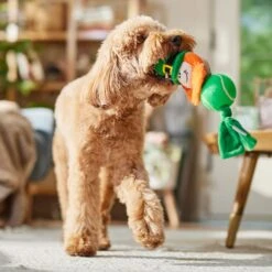 Frisco St. Patrick's Leprechaun Plush With Tennis Ball Squeaky Dog Toy -Frisco 249472 PT4. AC SS1800 V1700163040