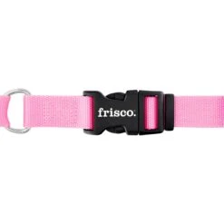 Frisco Solid Nylon Personalized Martingale Dog Collar -Frisco 249561 PT5. AC SS1800 V1628877460