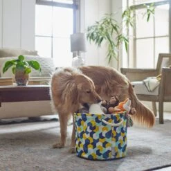 Frisco Round Collapsible Pet Toy Storage Bin, Yellow Geometric 7 Frisco Round Collapsible Pet Toy Storage Bin, Yellow Geometric -Frisco 250587 PT3. AC SS1800 V1615572147