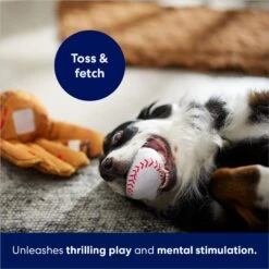 Frisco Baseball Mitt & Ball Interactive Plush Squeaky Dog Toy -Frisco 252756 PT5. AC SS1800 V1686579205