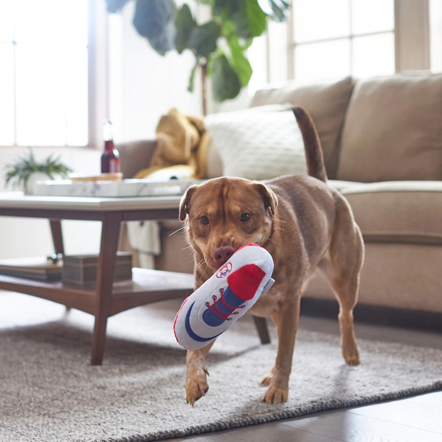 Frisco Baseball Cleat Latex Dog Toy 3 Frisco Baseball Cleat Latex Dog Toy - Image 3