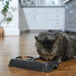 Frisco Copper Stainless Steel Double Dog & Cat Bowls With Black Marble Stand -Frisco 253058 PT2. AC SS1800 V1616594213