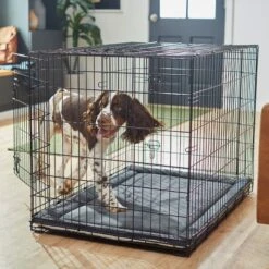 Frisco Self Warming Dog Crate Mat 11 Frisco Self Warming Dog Crate Mat -Frisco 255337 PT5. AC SS1800 V1616102293