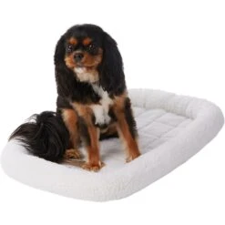 Frisco Heavy Duty Fold & Carry Single Door Collapsible Wire Dog Crate & Frisco Quilted Dog Crate Mat 9 Frisco Heavy Duty Fold & Carry Single Door Collapsible Wire Dog Crate & Frisco Quilted Dog Crate Mat -Frisco 255551 PT4. AC SS1800 V1604096523