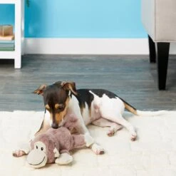 Frisco Monkey Plush Squeaky Dog Toy & Frisco Fox Plush Squeaky Dog Toy -Frisco 255597 PT2. AC SS1800 V1602702685