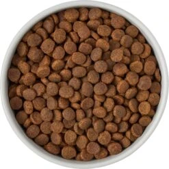 Frisco Ceramic Food Dog & Cat Bowl With Wood Base -Frisco 256043 PT6. AC SS1800 V1615311151