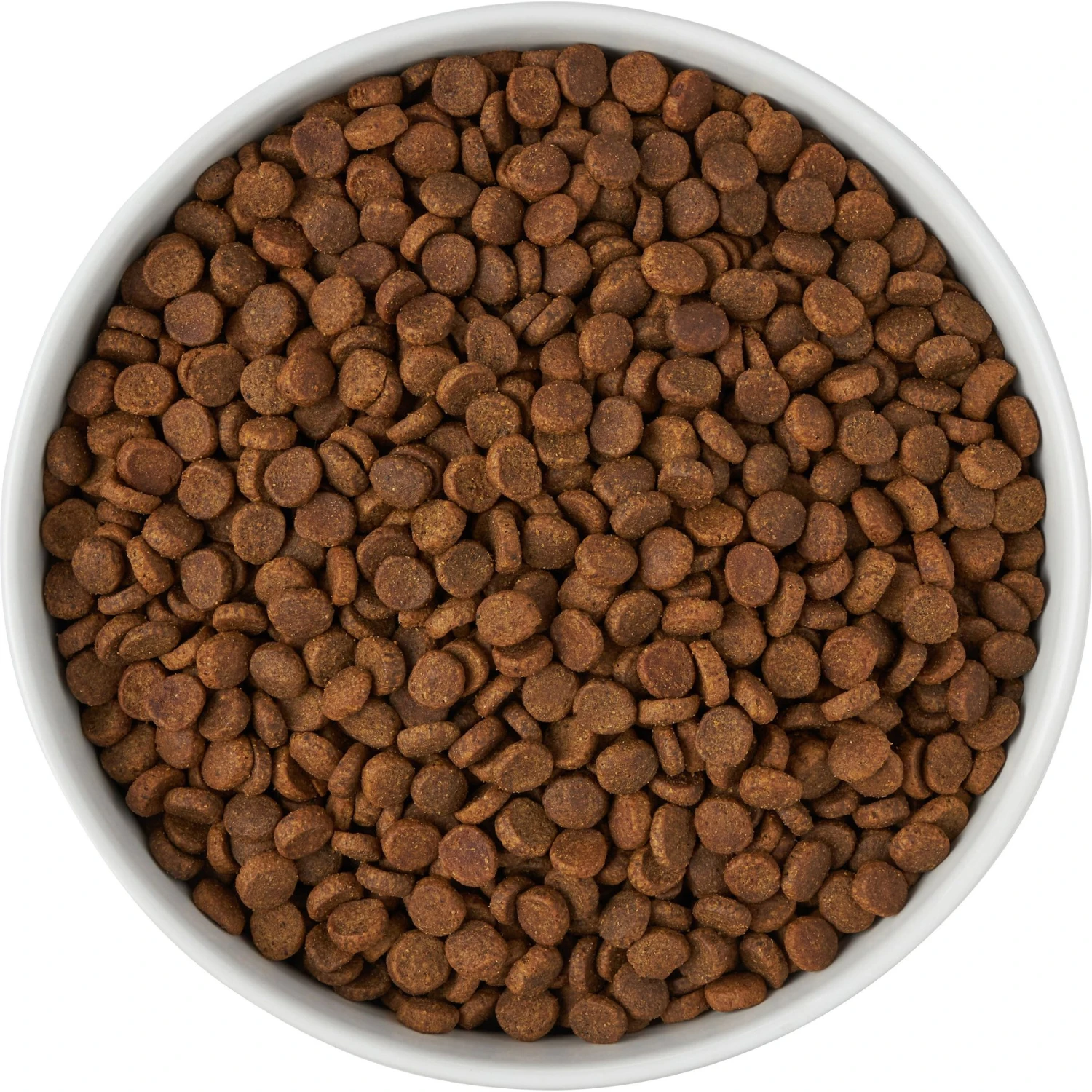 Frisco Paw Prints Non-skid Ceramic Bowl 6 Frisco Paw Prints Non-skid Ceramic Bowl - Image 6