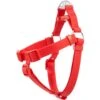 Frisco Outdoor Solid Textured Waterproof Stink Proof PVC Dog Harness