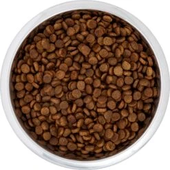 Frisco Black Iron Non-Skid Stainless Steel Dog & Cat Bowl 12 Frisco Black Iron Non-Skid Stainless Steel Dog & Cat Bowl -Frisco 257152 PT4. AC SS1800 V1615311427