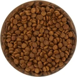 Frisco Flare Non-Skid Stainless Steel Dog & Cat Bowl 13 Frisco Flare Non-Skid Stainless Steel Dog & Cat Bowl -Frisco 257162 PT4. AC SS1800 V1612366692