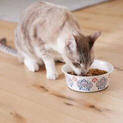 Frisco Bohemian Non-Skid Stainless Steel Dog & Cat Bowl 16 Frisco Bohemian Non-Skid Stainless Steel Dog & Cat Bowl -Frisco 257195 PT7. AC SS1800 V1615989147
