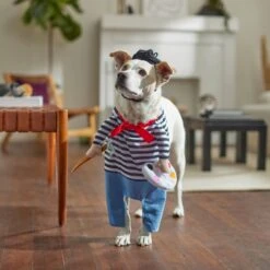 Frisco Front Walking French Artist Dog & Cat Costume 15 Frisco Front Walking French Artist Dog & Cat Costume -Frisco 260956 PT8. AC SS1800 V1689623916