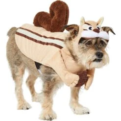 Frisco Chipmunk Dog & Cat Costume