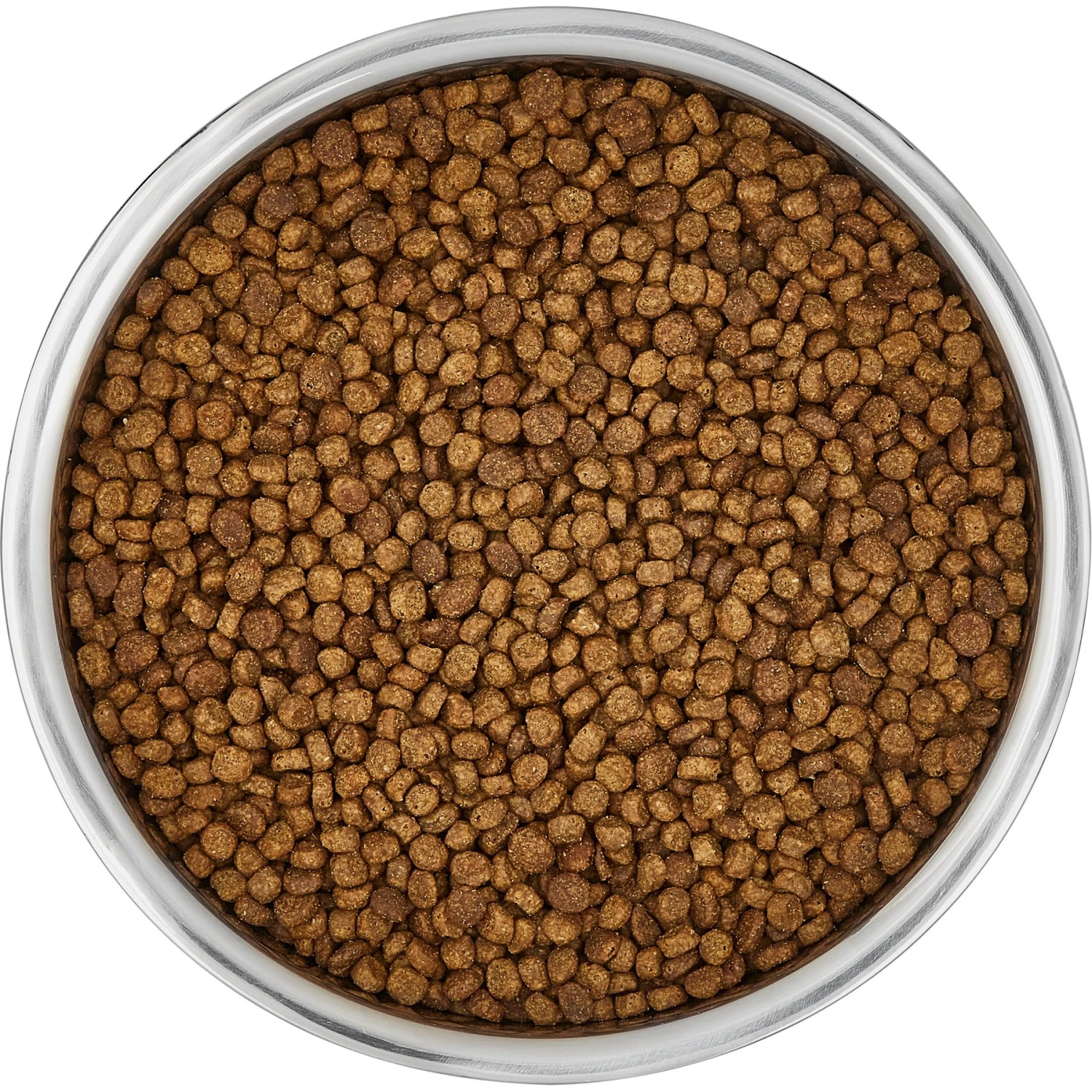 Frisco Insulated Non-Skid Stainless Steel Dog & Cat Bowl 5 Frisco Insulated Non-Skid Stainless Steel Dog & Cat Bowl - Image 5