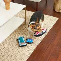 Frisco Road Trip Sightseeing Plush Squeaky Dog Toy, 3 Count 5 Frisco Road Trip Sightseeing Plush Squeaky Dog Toy, 3 Count -Frisco 262001 PT3. AC SS1800 V1618598716