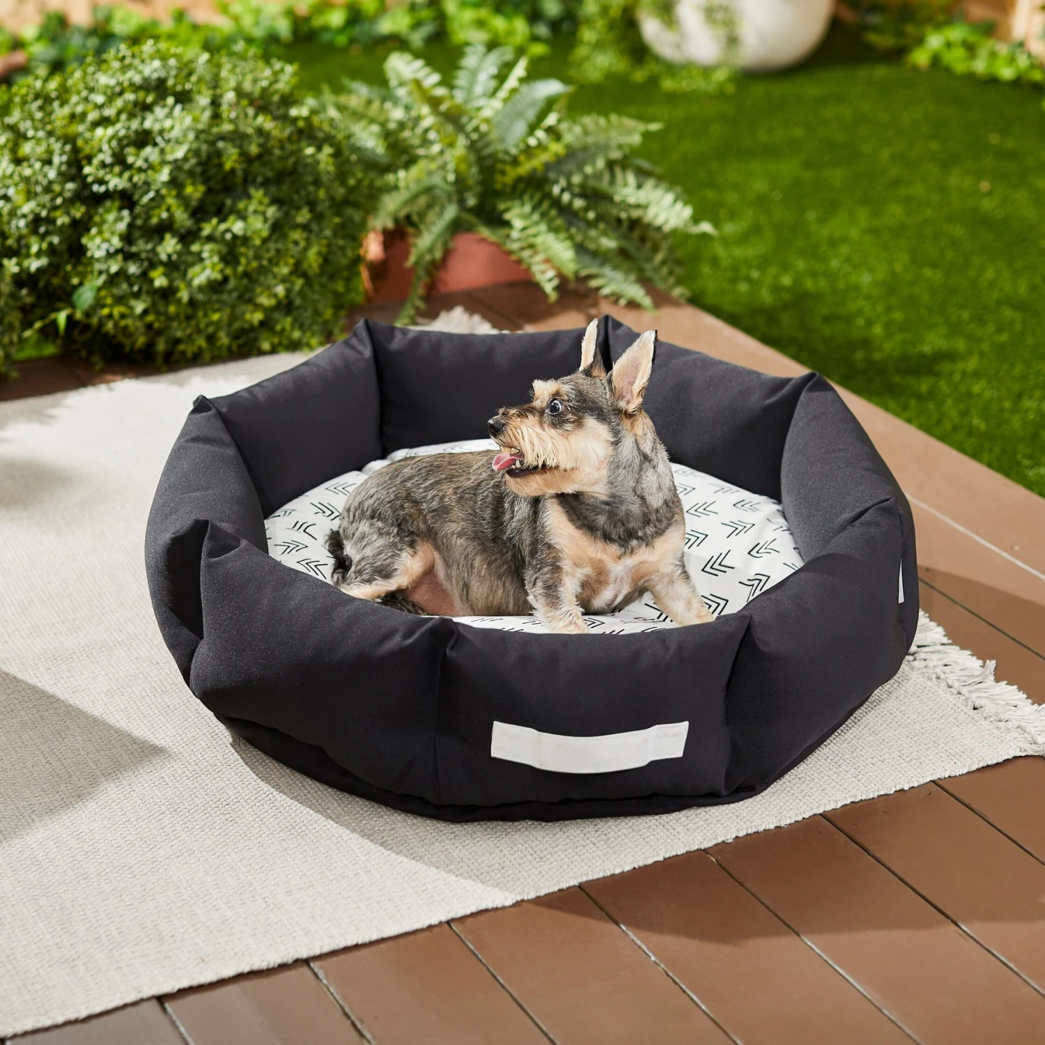 Frisco Indoor/Outdoor Deep Dish Cuddler Bolster Cat & Dog Bed 1 Frisco Indoor/Outdoor Deep Dish Cuddler Bolster Cat & Dog Bed