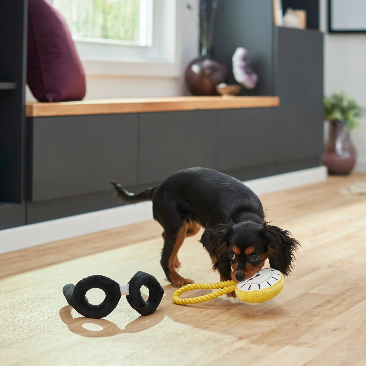 Frisco Magic Pocket Watch & Glasses Plush Squeaky Dog Toy, 2 Count 3 Frisco Magic Pocket Watch & Glasses Plush Squeaky Dog Toy, 2 Count - Image 3