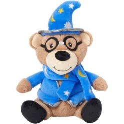 Frisco Magic Wizard Bear Plush Squeaky Dog Toy