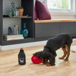 Frisco Magic Potions Plush Squeaky Dog Toy -Frisco 265618 PT3. AC SS1800 V1620939183