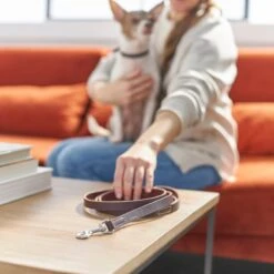 Frisco Top Grain Leather Leash 5 Frisco Top Grain Leather Leash -Frisco 266521 PT3. AC SS1800 V1619536628