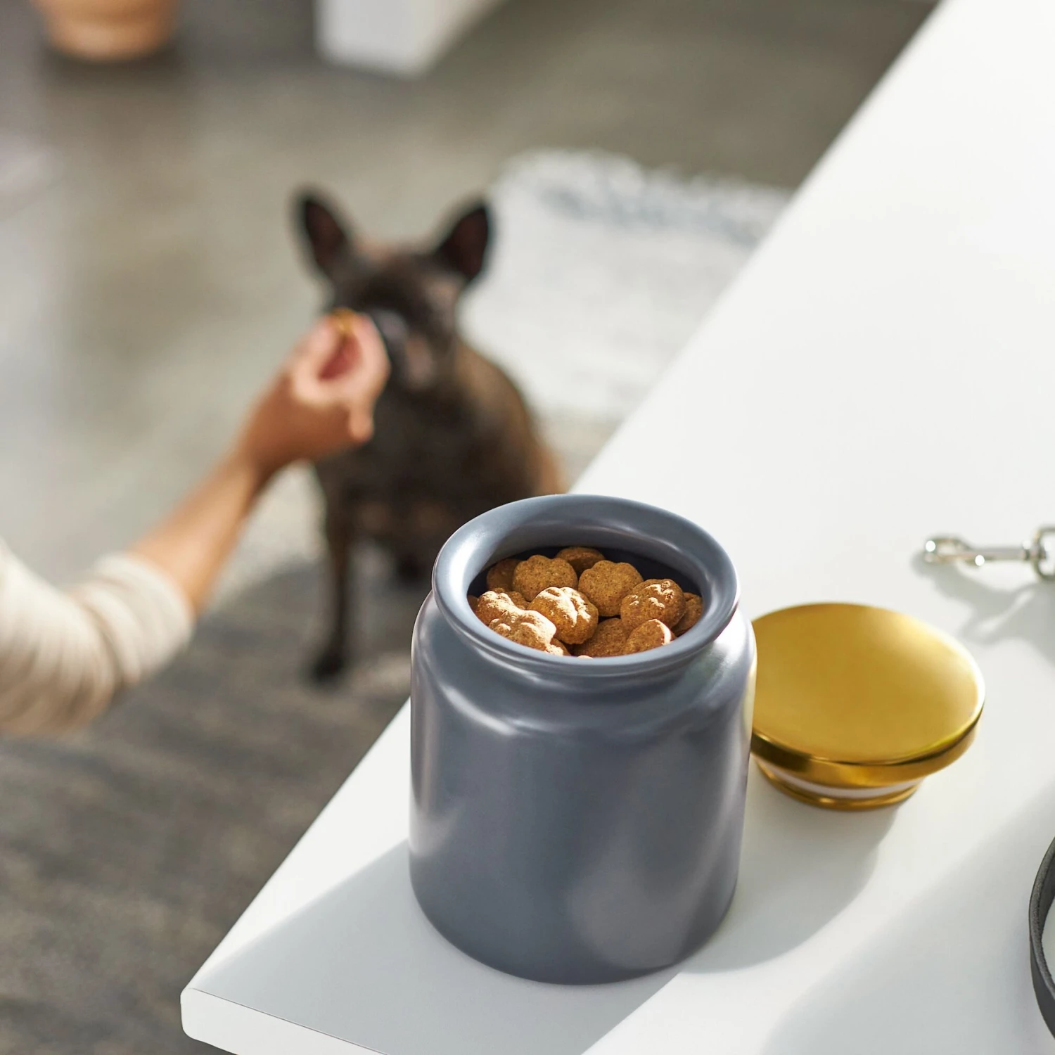 Frisco Modern Gold Rim Ceramic Treat Jar 3 Frisco Modern Gold Rim Ceramic Treat Jar - Image 3