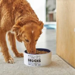 Frisco Food & Paw Non-skid Ceramic Dog Bowl -Frisco 270195 PT2. AC SS1800 V1620762027