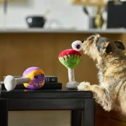 Frisco Halloween Cocktail Plush Squeaky Dog Toy 7 Frisco Halloween Cocktail Plush Squeaky Dog Toy -Frisco 270361 PT3. AC SS1800 V1624817495