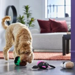 Frisco Halloween Cupcakes Plush Squeaky Dog Toy 7 Frisco Halloween Cupcakes Plush Squeaky Dog Toy -Frisco 270367 PT3. AC SS1800 V1624817674