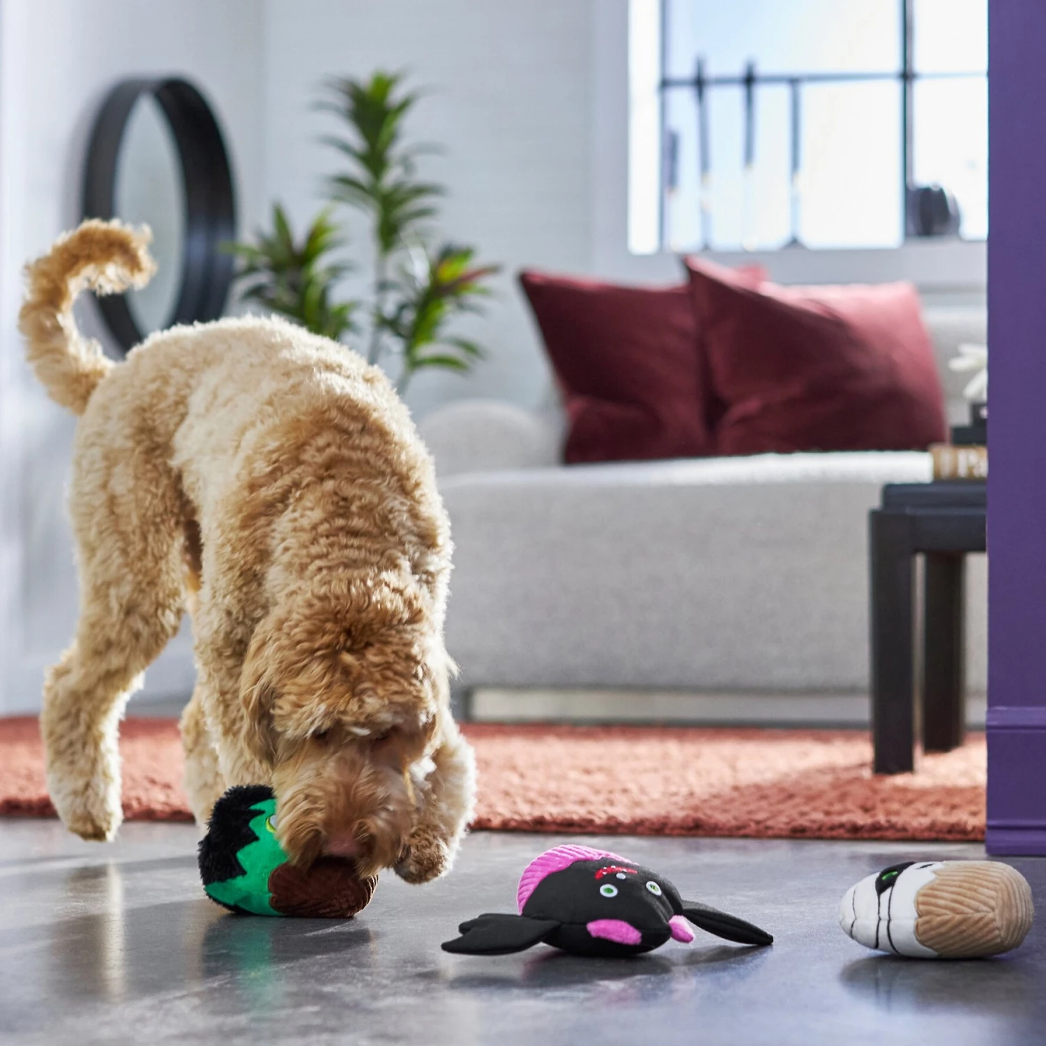 Frisco Halloween Cupcakes Plush Squeaky Dog Toy 3 Frisco Halloween Cupcakes Plush Squeaky Dog Toy - Image 3