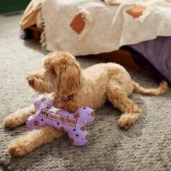 Frisco Halloween My First Halloween Bone Reversible Plush Squeaky Dog Toy -Frisco 270452 PT3. AC SS1800 V1624817314