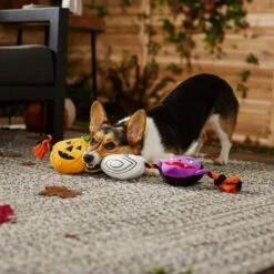 Frisco Halloween Haunted Friends Plush With Rope Squeaky Dog Toy -Frisco 270500 PT3. AC SS1800 V1624825043