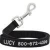 Frisco Solid Nylon Personalized Dog Leash