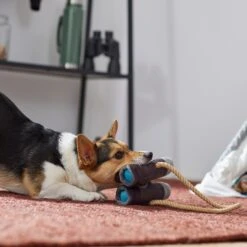 Frisco Camping Binoculars Plush With Rope Squeaky Dog Toy 5 Frisco Camping Binoculars Plush With Rope Squeaky Dog Toy -Frisco 271009 PT3. AC SS1800 V1625009167