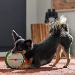 Frisco Camping Compass Plush With Rope Squeaky Dog Toy -Frisco 271020 PT3. AC SS1800 V1625008965